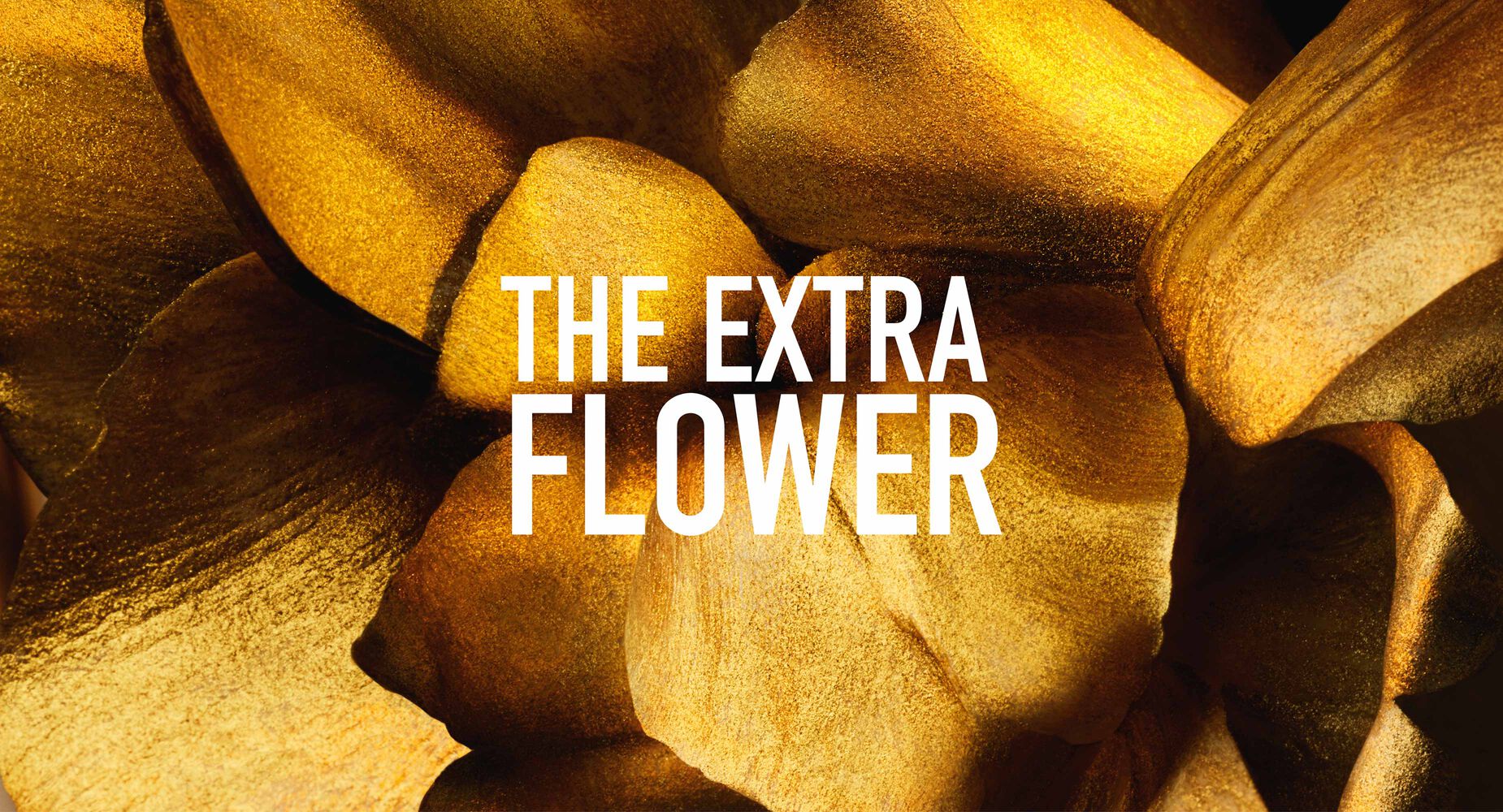 J'adore Dior - Image 3